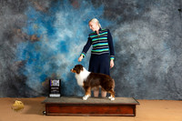 Miniature American Shepherd #21 Mon BOBM Judge Carolyn Herbel