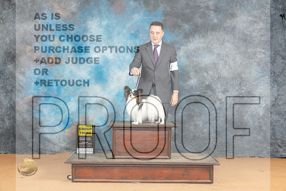 Papillon #9 Mon G3 Judge Steve Keating_JP_2148_Glen Rose_2024_HR3