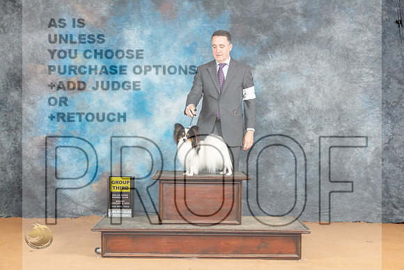 Papillon #9 Mon G3 Judge Steve Keating_JP_2152_Glen Rose_2024_HR3