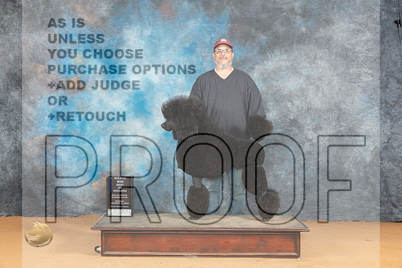 Poodle Std #19 Mon BOWM Judge Nena Dee_JP_2070_Glen Rose_2024_HR3
