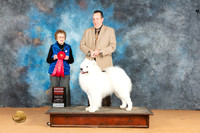Samoyed #5 Mon G2 Judge Pat Trotter