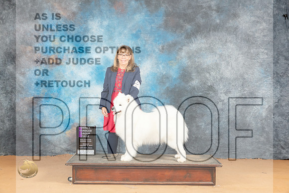 Samoyed #7 OHG1 Judge Carolyn Herbel_JP_2163_Glen Rose_2024_HR3