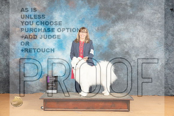 Samoyed #7 OHG1 Judge Carolyn Herbel_JP_2165_Glen Rose_2024_HR3
