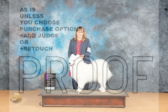 Samoyed #7 OHG1 Judge Carolyn Herbel_JP_2170_Glen Rose_2024_HR3
