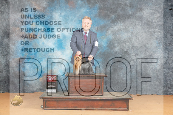 Yorkshire Terrier #7 Mon G2 Judge Steve Keating_JP_2129_Glen Rose_2024_HR3