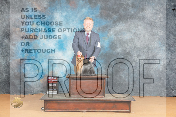 Yorkshire Terrier #7 Mon G2 Judge Steve Keating_JP_2137_Glen Rose_2024_HR3