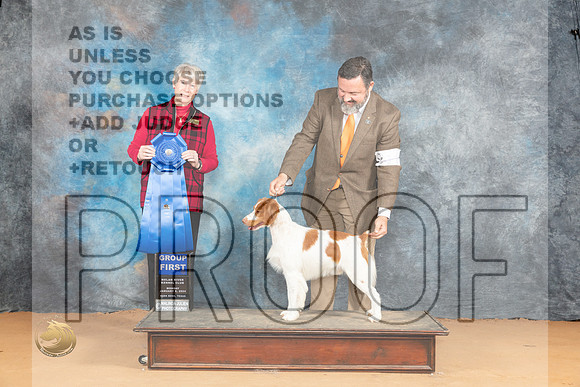 Brittany #11 Mon G1 Judge Nena Dee_JP_2235_Glen Rose_2024_HR3