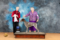 German Shorthaired Pointer #? Mon G4 Judge Nena Dee
