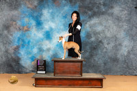 Italian Greyhound #17 Mon OHG1 Judge Dr Norbert Dee