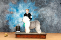 Old English Sheepdog #8 Mon OHRBIS Nena Dee