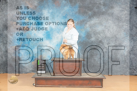 Pomeranian #17 Mon OHG2 Judge Dr Norbert Dee_JP_2205_Glen Rose_2024_HR3