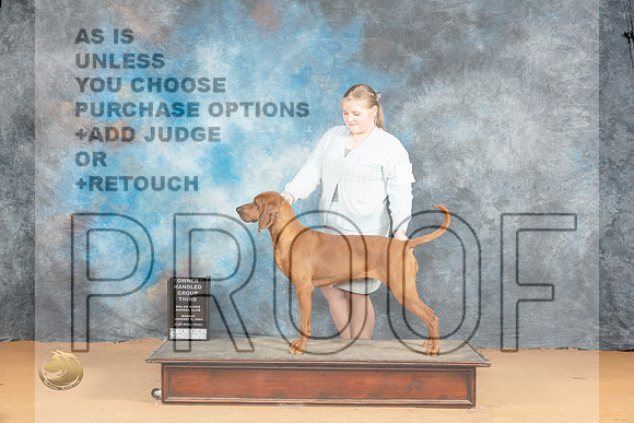 Redbone Coonhound #6 Mon OHG3 Judge Carolyn Herbel_JP_2219_Glen Rose_2024_HR3
