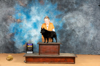 Schipperke #7 Mon BOB Judge Carolyn Herbel
