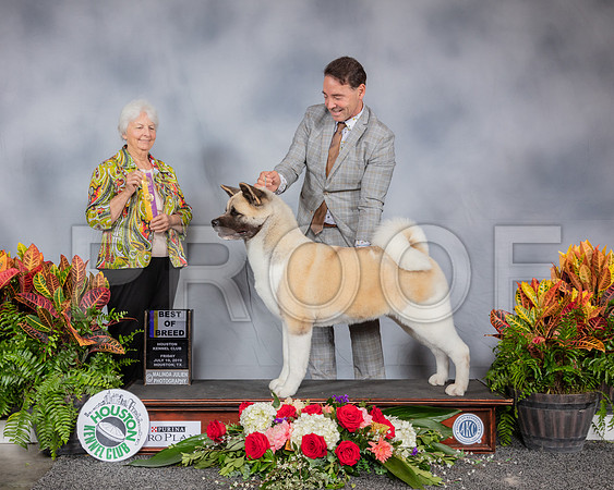 Akita #20 Fri BOB Judge Gloria Kerr_SSR_3644_Hstn2019_HR3