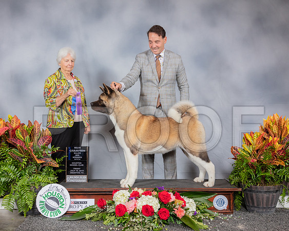 Akita #22 Fri WB NC MAJ Judge Gloria Kerr_SSR_3641_Hstn2019_HR3