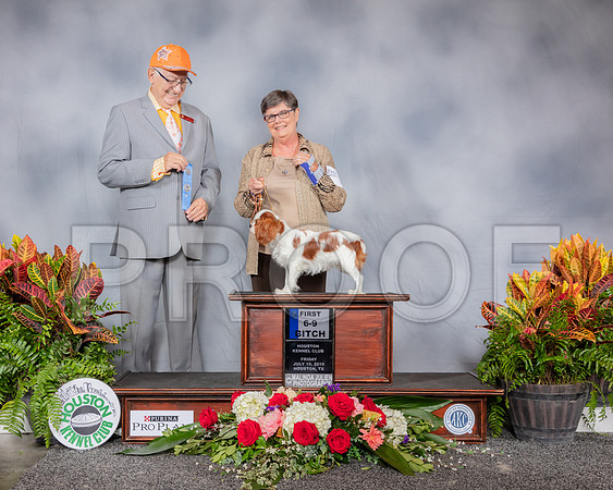 Cavalier King Charles Spaniel #30 Fri 1st Pup Judge Johnny Shoemaker_SSR_3684_Hstn2019_HR3