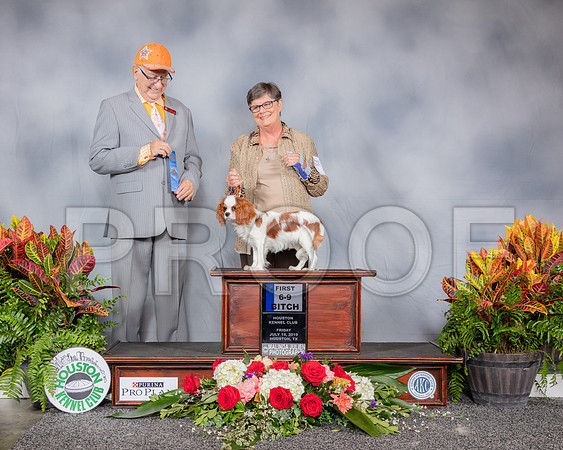 Cavalier King Charles Spaniel #30 Fri 1st Pup Judge Johnny Shoemaker_SSR_3681_Hstn2019_HR3