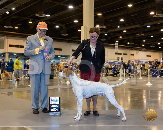 Pointer #15 Fri WD Maj Judge Johnny Shoemaker__ST_6612-Hstn2019-HR3