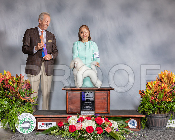 Poodle Toy #27 Fri WD MAJ Judge Jimmy Moses_SSR_3602_Hstn2019_HR3
