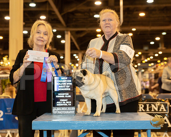 Pug #19 Fri BOW Maj NCh Judge Helen Winski Stein_JJJ_8537-Hstn2019-HR3