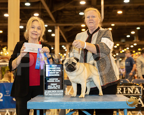 Pug #19 Fri BOW Maj NCh Judge Helen Winski Stein_JJJ_8539-Hstn2019-HR3