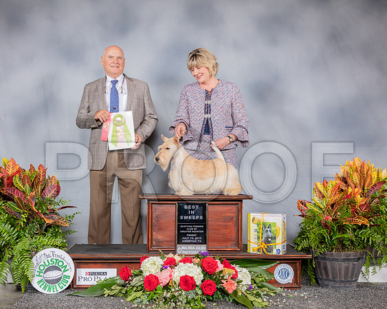Scottish Terrier #11 Fri BISweeps Judge Ron McConnell_SSR_3799_Hstn2019_HR3
