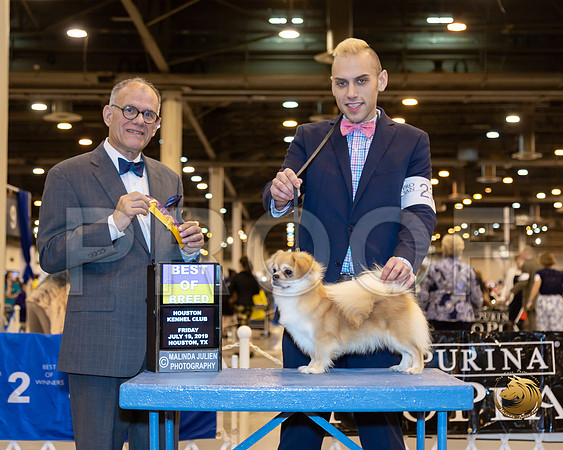 Tibetan Spaniel #26 Fri BOB Judge Luis Sosa__ST_6620-Hstn2019-HR3