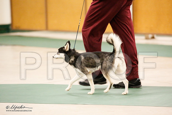 _JN_1416-NrmnNov2014-HR3