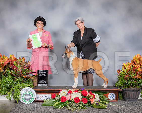 Boxer #16 Fri OHG2 Judge Linda Clark_SSR_3981_Hstn2019_HR3