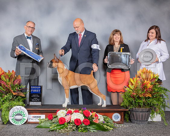 Boxer #32 Fri G1 Judge Luis Sosa_SSR_4093_Hstn2019_HR3