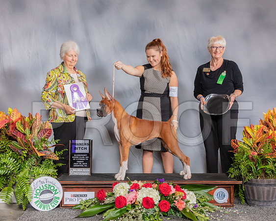 Boxer #6 Fri WB Judge Gloria Kerr_SSR_3815_Hstn2019_HR3