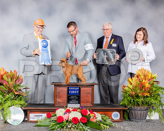Brussels Griffon #9 Fri G1 Judge Johnny Shoemaker_SSR_4034_Hstn2019_HR3
