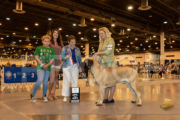 Mastiff #9 Fri BOS Maj Judge Rita Biddel__ST_6626-Hstn2019-HR3
