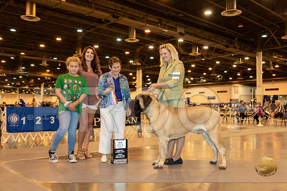 Mastiff #9 Fri BOS Maj Judge Rita Biddel__ST_6625-Hstn2019-HR3