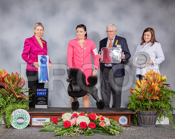Poodle Miniature #11 Fri G1 Judge Patricia Sosa_SSR_4115_Hstn2019_HR3
