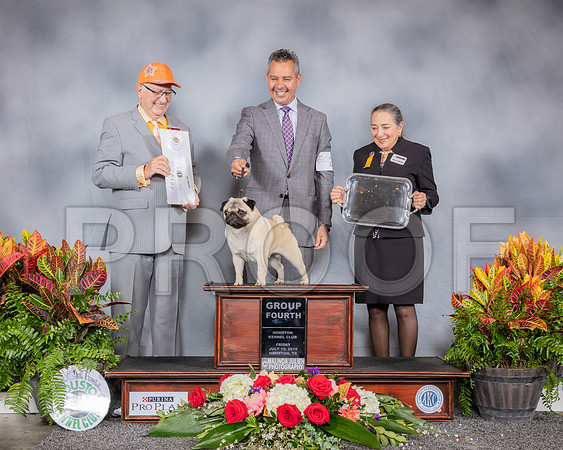 Pug #25 Fri G4 Judge Johnny Shoemaker_SSR_4045_Hstn2019_HR3