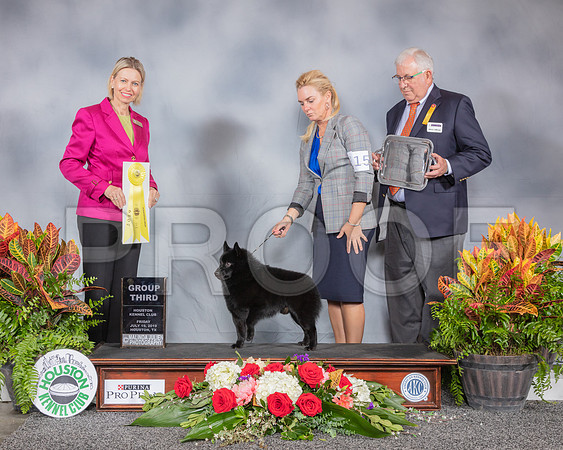 Schipperki #15 Fri G3 Judge Patricia Sosa_SSR_4110_Hstn2019_HR3