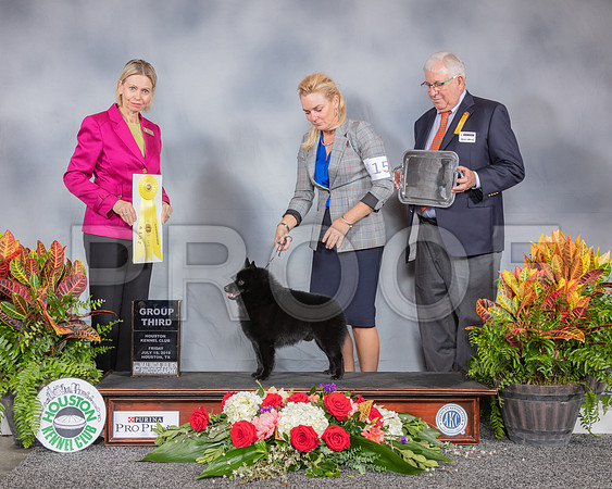 Schipperki #15 Fri G3 Judge Patricia Sosa_SSR_4108_Hstn2019_HR3