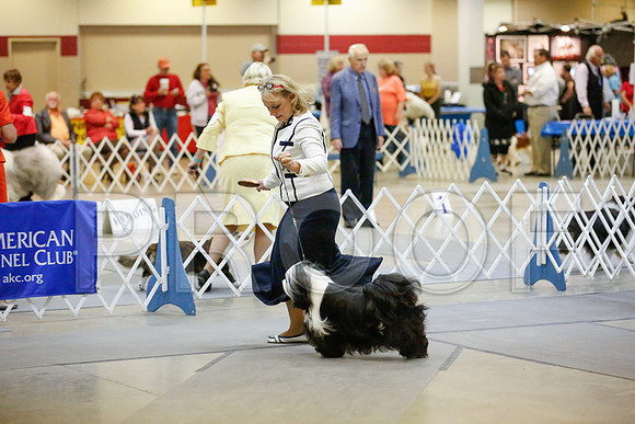_JJ_8160-AmarilloSept2014-HR3