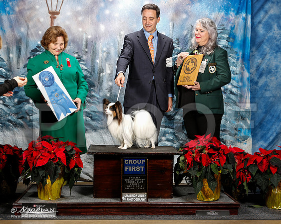 _ST_8388-2-DallasDec2014-HR3