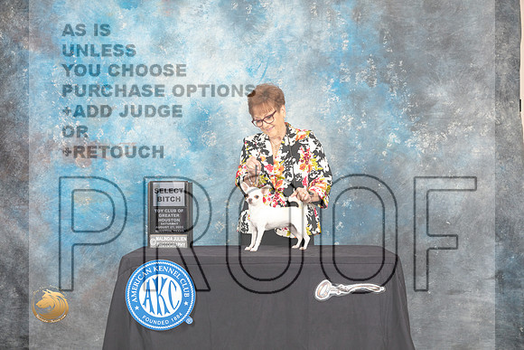 Chihuahua Smooth Coat #30 Sat SB Judge Tim Robbins_MJ_0097_HstnTOY_2022_HR3