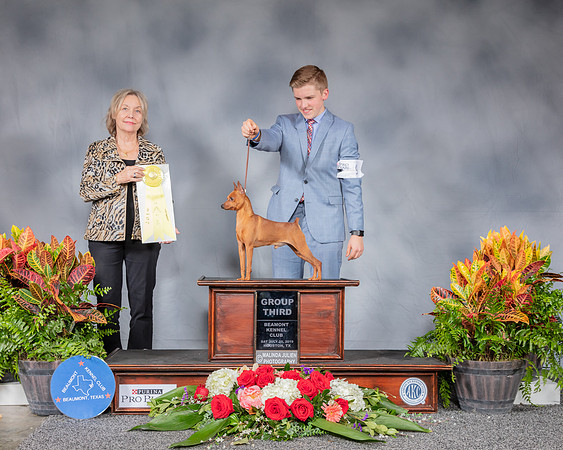 Miniature Pinscher #9 Sat G3 Judge Helen Stein_SSR_4641_Hstn2019_HR3