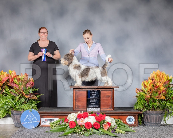 PBGV #11 Sat BOW MAJ Judge Luis Sosa_SSR_4539_Hstn2019_HR3