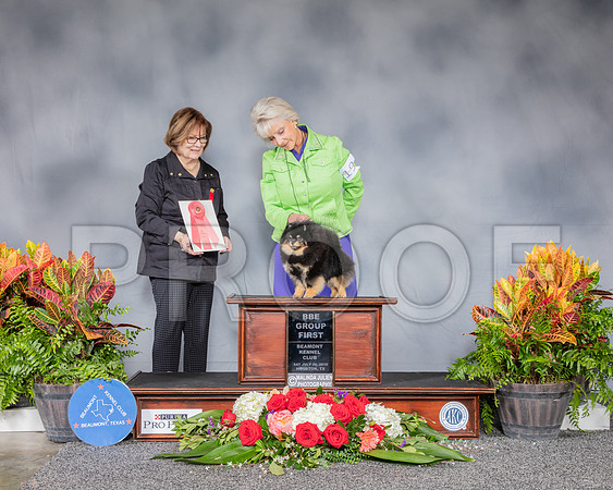 Pomeranian #19 Sat BBE G1 Judge Louise Leone_SSR_4677_Hstn2019_HR3