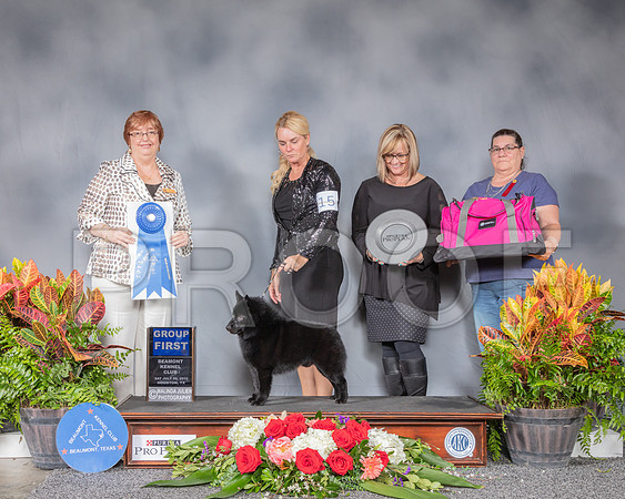 Schipperke #15 Sat G1 Judge Cindy Stansell_SSR_4739_Hstn2019_HR3