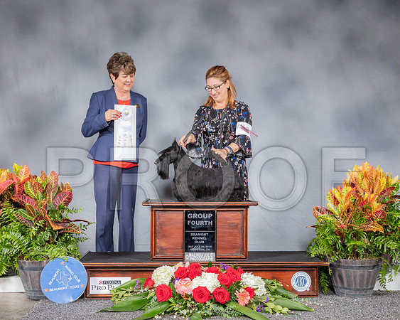 Scottish Terrier #38 Sat G4 Judge Gayle Denman_SSR_4553_Hstn2019_HR3