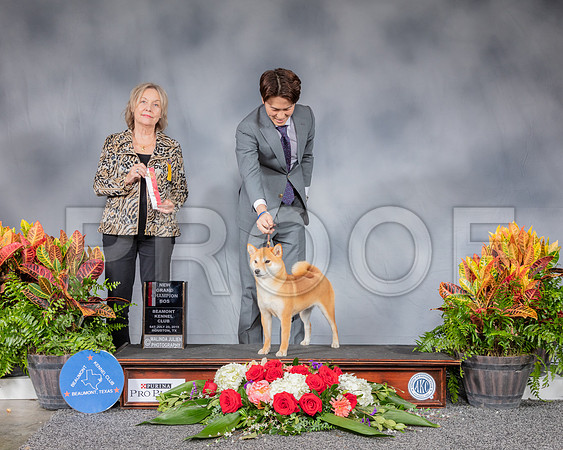 Shiba #6 Sat BOS NGC Judge Helen Stein_SSR_4645_Hstn2019_HR3