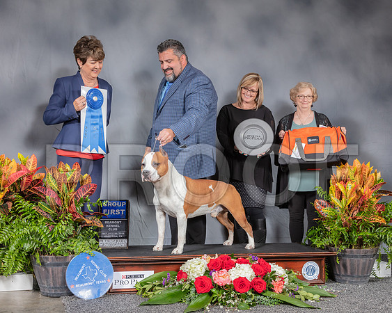 American Staffordshire Terrier #7 Sat G1 Judge Gayle Denman_SSR_4557_Hstn2019_HR3