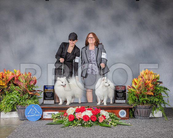 American Eskimo #12 Family_SSR_4792_Hstn2019_HR3
