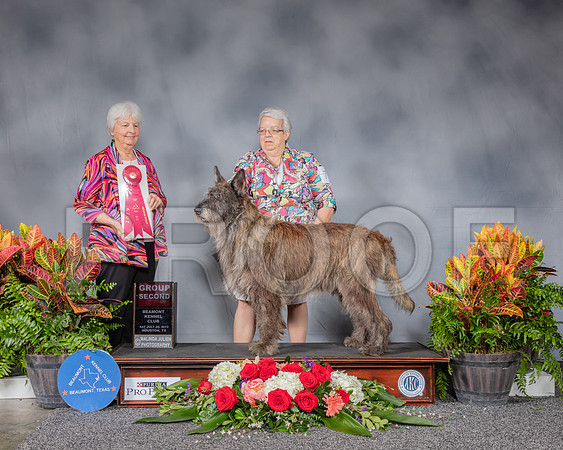 Berger Picard #7 Sat G2 Judge Gloria Kerr_SSR_4771_Hstn2019_HR3